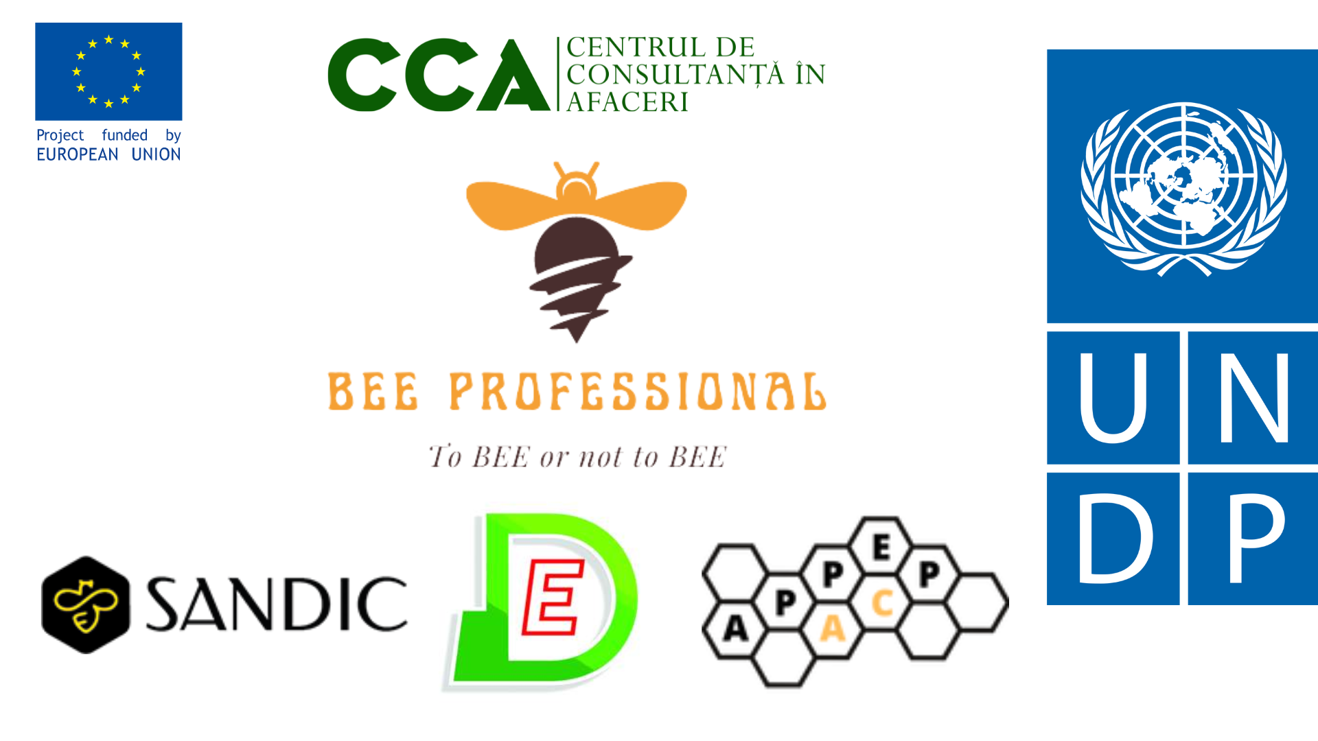 Bee Proffesional Projent Presentation